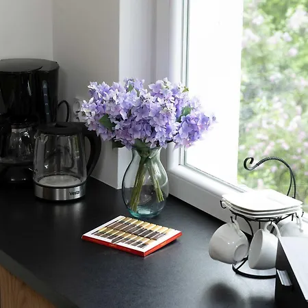 Apartman Schronisko Kochanej Babci By Renters *